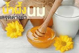 ชานมน้ำผึ้ง