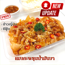 แมงกะพรุนน้ำมันงา