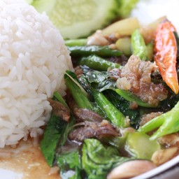 ข้าวราดคะน้าน้ำมันหอย