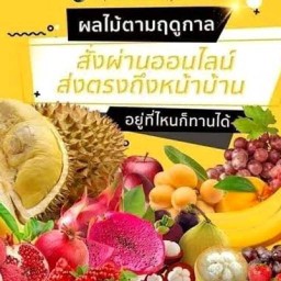 น้ำลำใยสด,ขนมปัง,เบอเกอรี่ T&T