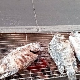 ปลาเผาชายเอ