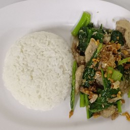 ข้าวราดคะน้าน้ำมันหอย