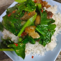 ผัดคะน้า