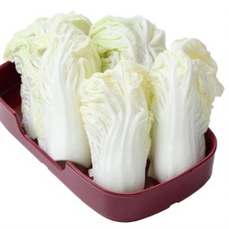 ผักกาดขาว