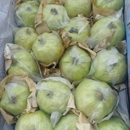 ฝรั่งสด