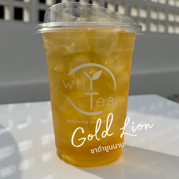 Iced Gold Lion