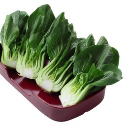 ผักกวางตุ้ง