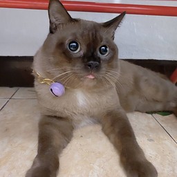 คุณมารวย