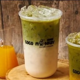 Coco Monkey Future Park Rangsit ฟิวเจอร์ พาร์ค รังสิต