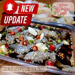 ชุดแมงกะพรุนดองซีอิ๊ว ฟรีข้าวญี่ปุ่น สาหร่ายแผ่น น้ำจิ้มซีฟู๊ด