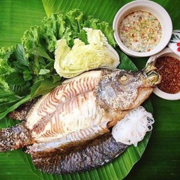 ปลานิลเผา_ไซส์มหาลัย