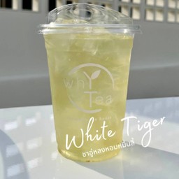 Iced White Tiger