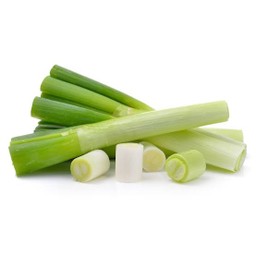 ต้นหอมญุี่ปุ่น