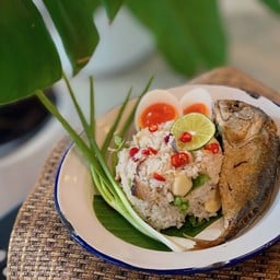 ข้าวแมว