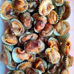 หอยแครงลวก