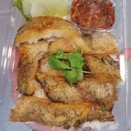 กระเพาพริกแห้ง ปลาแกะ🐟🐟 1