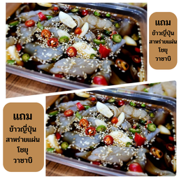 ชุดแมงกะพรุนดองซีอิ๊ว+ชุดแมงกะพรุนดองซีอิ๊ว ฟรีข้าวญี่ปุ่น สาหร่ายแผ่น น้ำจิ้มซีฟู๊ด
