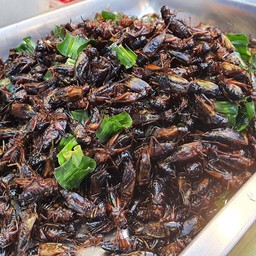 จิ้งหรีดทอด ตักละ