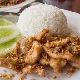 กะเพราอินดี้