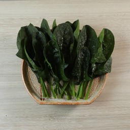 SPINACH