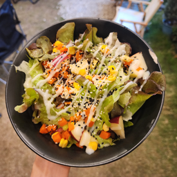 สลัดผัก - ผักสลัดไฮโดร