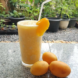 Marian Plum Smoothie