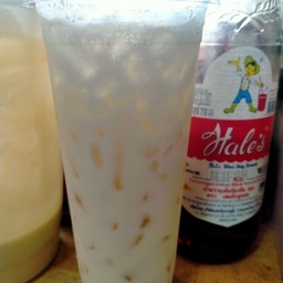 นมสดเย็น