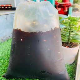 เจ๊จงกาแฟซิ่ง