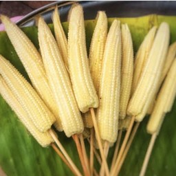 ข้าวโพดอ่อน Baby corn