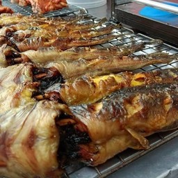 Grilled Catfish