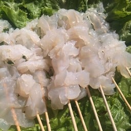 แมงกะพรุน