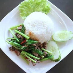 คะน้าหมูน้ำมันหอยราดข้าว