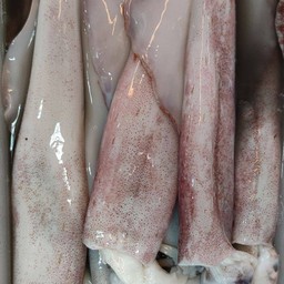 หมึกกล้วยมหาชัย