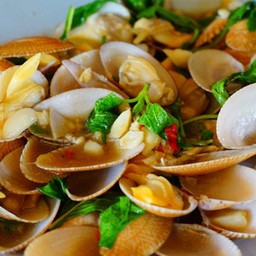 หอยลายผัดพริกขี้หนู