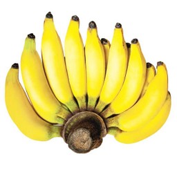 กล้วยเล็บมือนาง