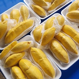 ทุเรียกนกหยิบ