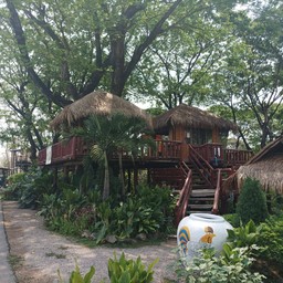 แดนกระทิง