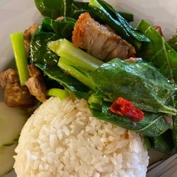 ข้าวราดคะน้าน้ำมันหอย