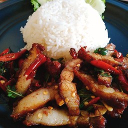 ข้าวกระเพราหมูทอด