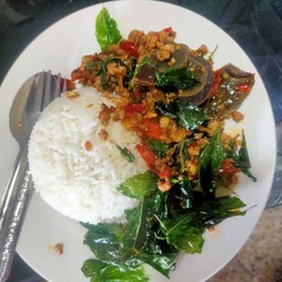 ข้าวกระเพราไข่เยี่ยวม้า