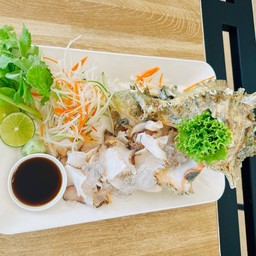 หอยมะระซาชิมิสดๆ1ตัว