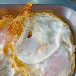 ไข่ดาว