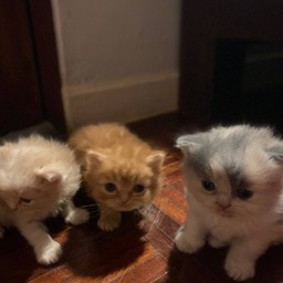 เด็กๆๆๆทีร้านพี่เป็ด