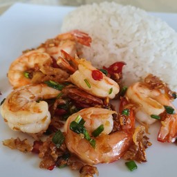 ข้าวกุ้งคั่วพริกเกลือ