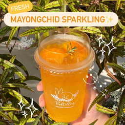 MaYongchid Sparking