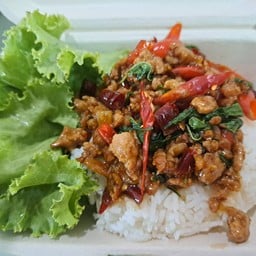กะเพรา กระเพรา เชฟหมี แบริ่ง1
