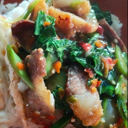 ข้าวคะน้าหมูกรอบ