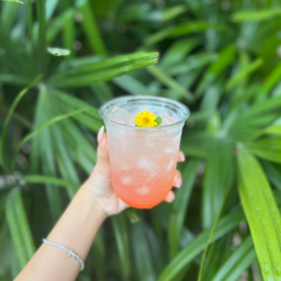 Peach soda 🍑