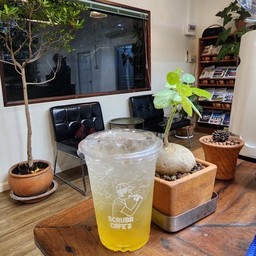 Yuzu Lemon Soda ยูสุเลม่อนโซดา