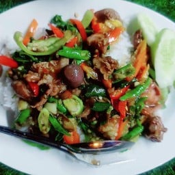 พ่อกับแม่อาหารป่า